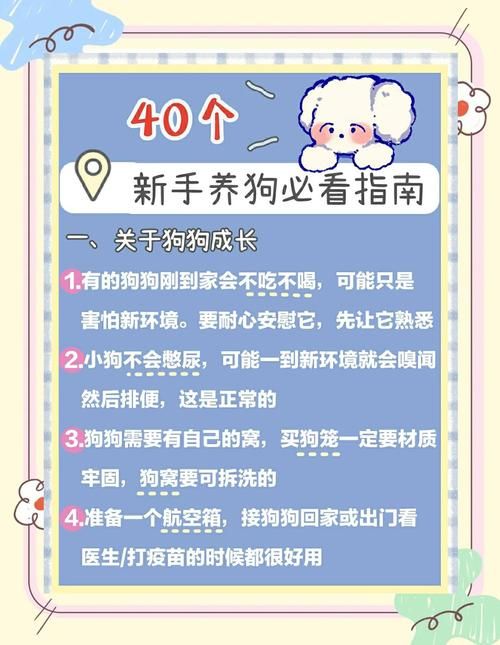 pitbull4适合家养吗 新手养狗必看的注意事项