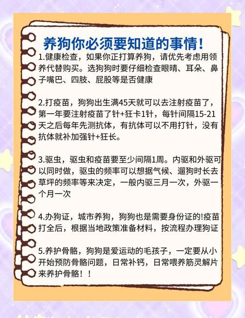 pitbull4适合家养吗 新手养狗必看的注意事项