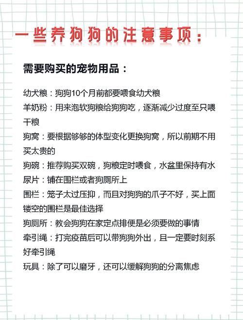 pitbull4适合家养吗 新手养狗必看的注意事项