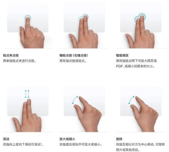 player10使用教程 新手快速上手指南