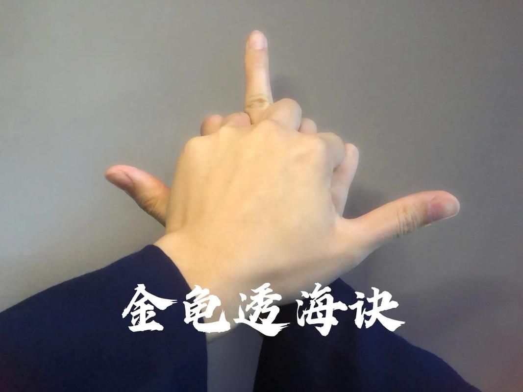 player10使用教程 新手快速上手指南