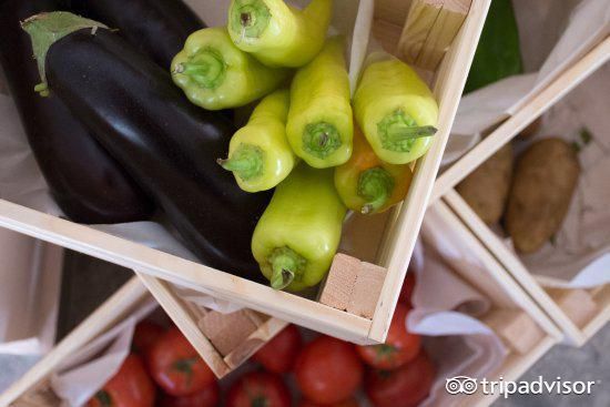 poros in是什么材料 了解poros in的特性和用途