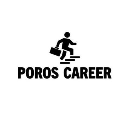 poros in是什么材料 了解poros in的特性和用途