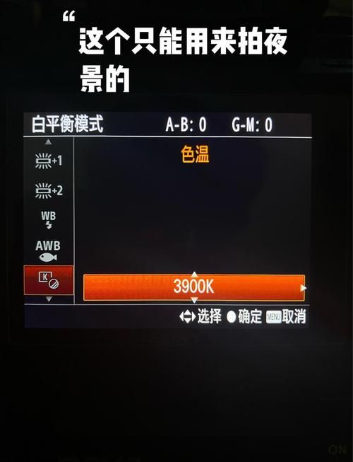 ps2索尼克释放最佳设置推荐 流畅运行不卡顿