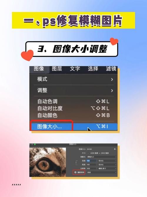 psnid怎么看 简单几步找到你的PSN个人ID
