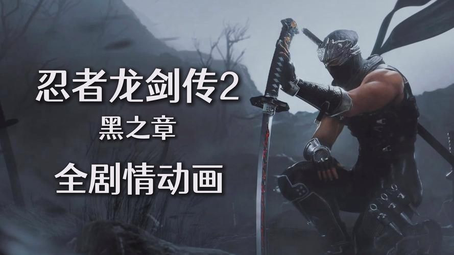 psv忍者龙剑传下载安装教程一步搞定