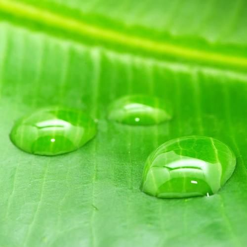 qq免安装绿色版下载 无需安装直接使用的qq绿色版本