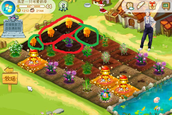 qq农场打不开了是什么原因 常见问题解析