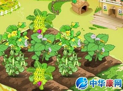 qq农场无法打开的修复方法 简单几步就能搞定