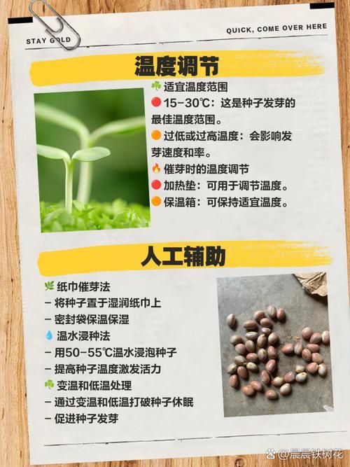 qq农场有机种子种植技巧 轻松提高产量秘诀