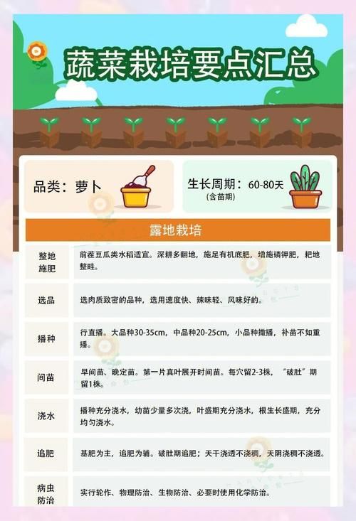 qq农场有机种子种植技巧 轻松提高产量秘诀
