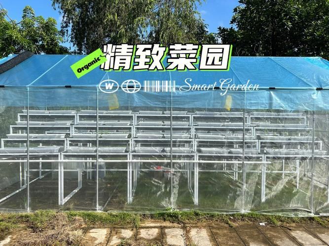 qq农场有机种子种植技巧 轻松提高产量秘诀