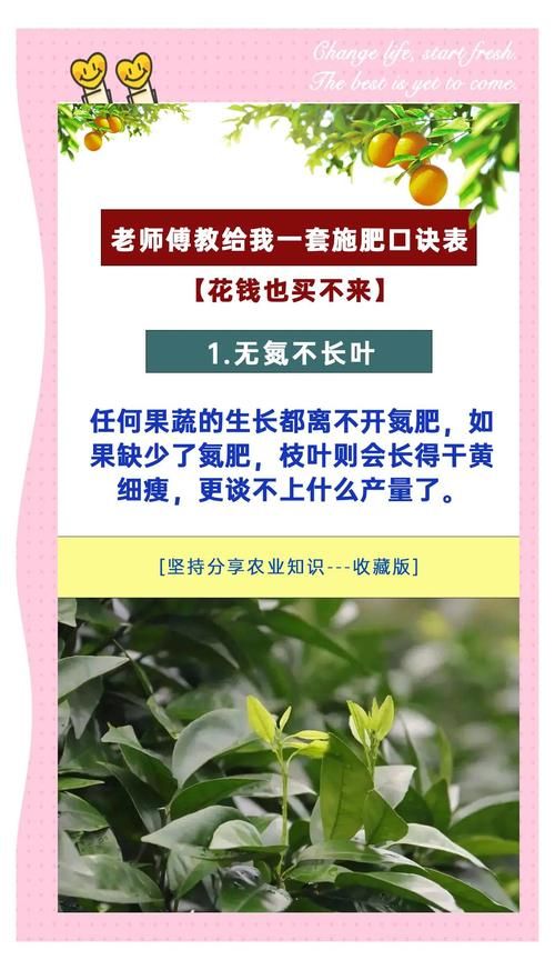 qq农场有机种子种植技巧 轻松提高产量秘诀