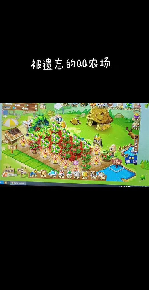 qq农场牧场伴侣安全吗 使用前必看的注意事项
