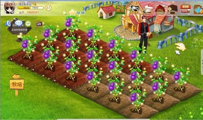 qq农场种子大全 最全作物种植攻略一网打尽