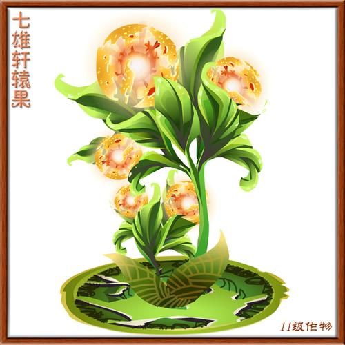 qq农场种子大全 最全作物种植攻略一网打尽