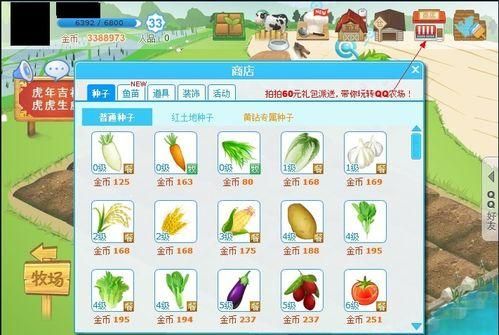 qq农场自动偷菜软件哪个好 三款实用工具对比评测