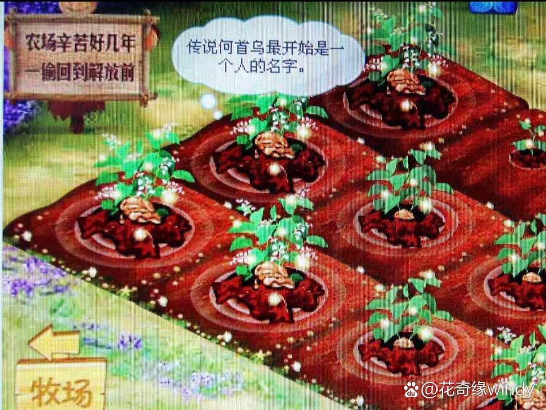 qq农场自动偷菜软件哪个好 三款实用工具对比评测