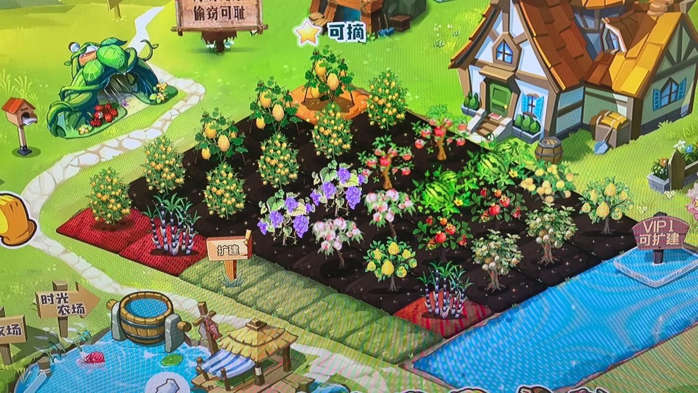 qq农场自动偷菜软件哪个好 三款实用工具对比评测