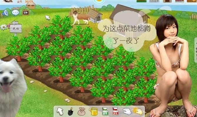 qq农场自动偷菜软件哪个好 三款实用工具对比评测