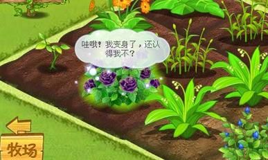 qq农场路易十四稀有度 如何获得高级种子