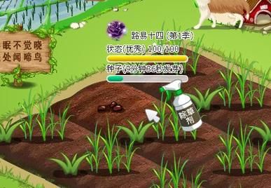 qq农场路易十四稀有度 如何获得高级种子