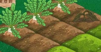 qq农场黄钻礼包怎么用 使用教程与注意事项