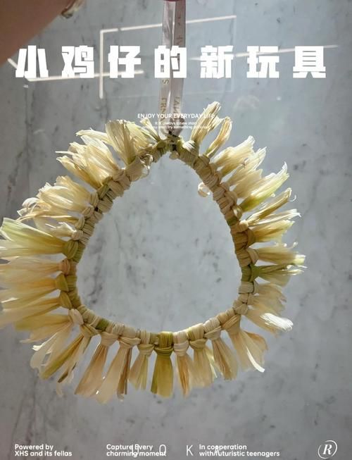 qq宠物秋千在哪使用 简单操作步骤解析