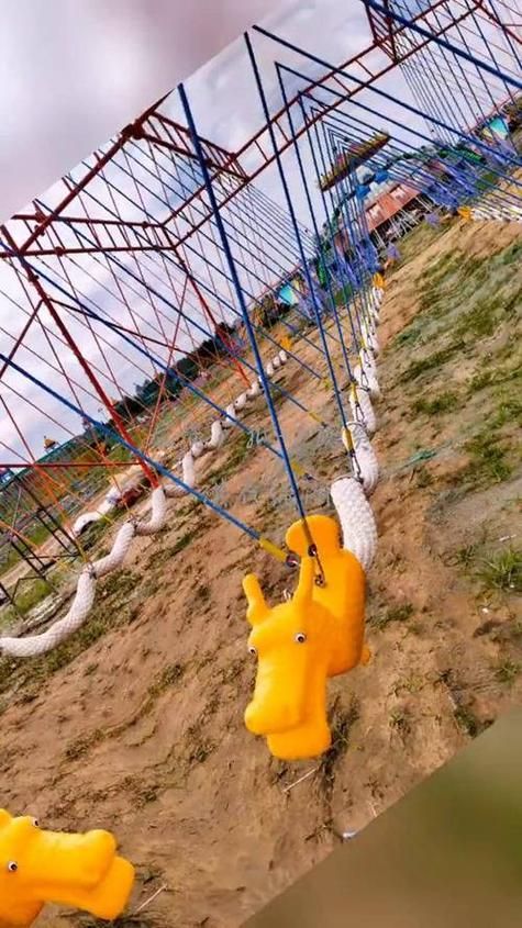 qq宠物秋千在哪使用 简单操作步骤解析