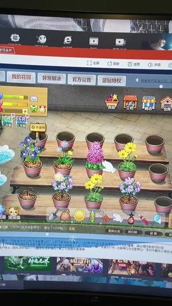qq游戏玫瑰小镇玫瑰种类 如何快速升级花园等级