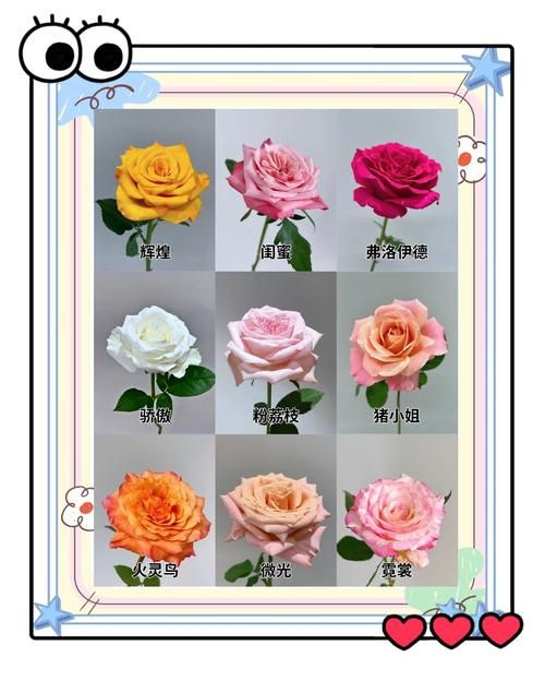 qq游戏玫瑰花园玩法攻略 新手快速入门指南