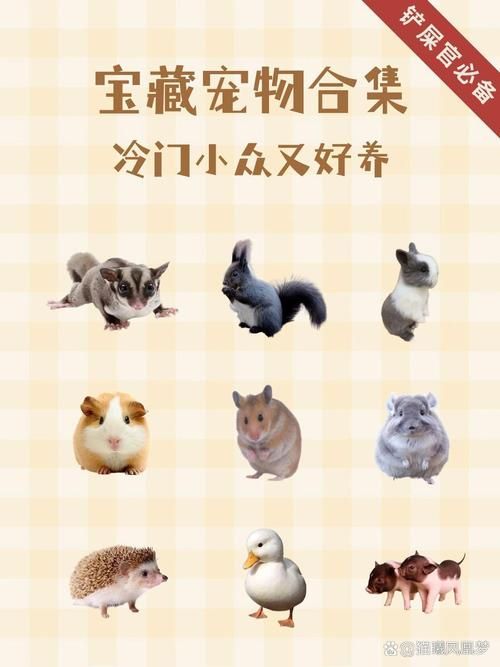qq牧场科研动物有哪些 最全种类介绍