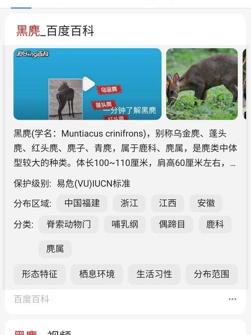 qq牧场科研动物有哪些 最全种类介绍