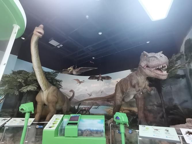 qq空间恐龙时代最新活动 限时福利千万别错过