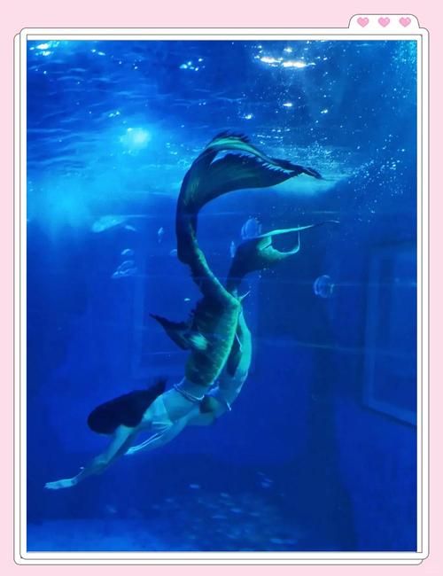 qq空间梦幻海底怎么玩 新手入门攻略分享