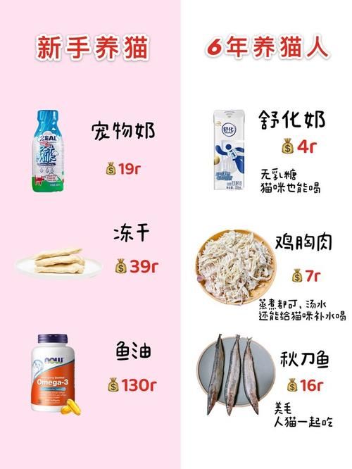 qq空间装扮免费方法大全 省钱又好看的秘诀
