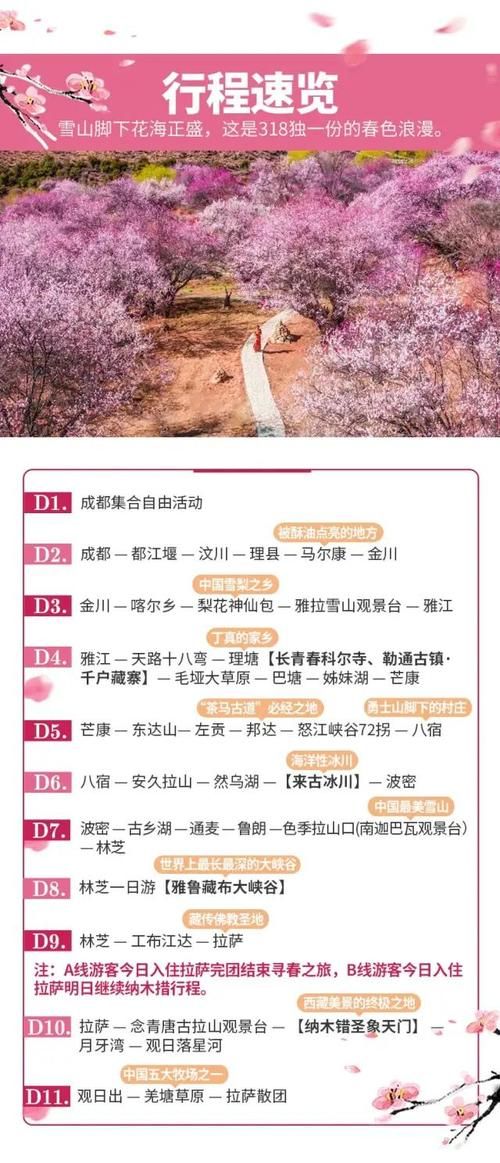 qq部落18-3怎么过 最新打法技巧分享