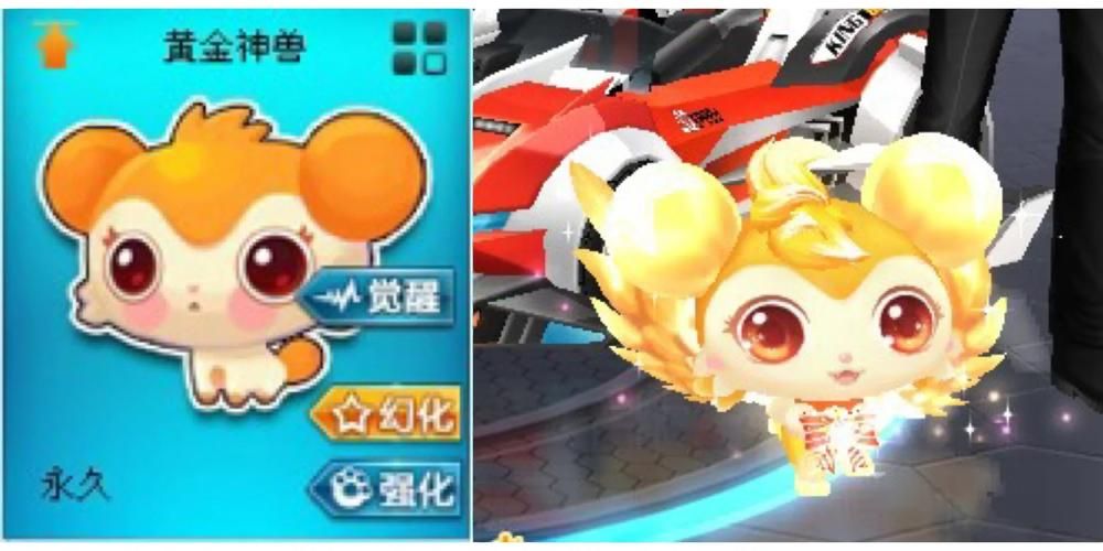 qq飞车羊驼草草获取途径 免费领取方法分享