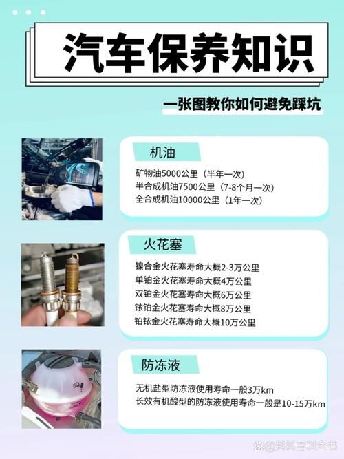 qq飞车赛车保养全解析 从入门到精通的完整教程