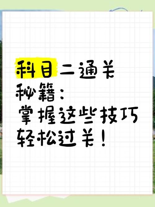 q宠大乐斗修心术实战技巧 高手教你轻松通关