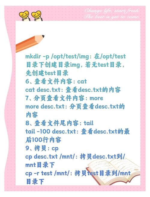 re管理器是什么 新手必看的功能介绍与操作教程