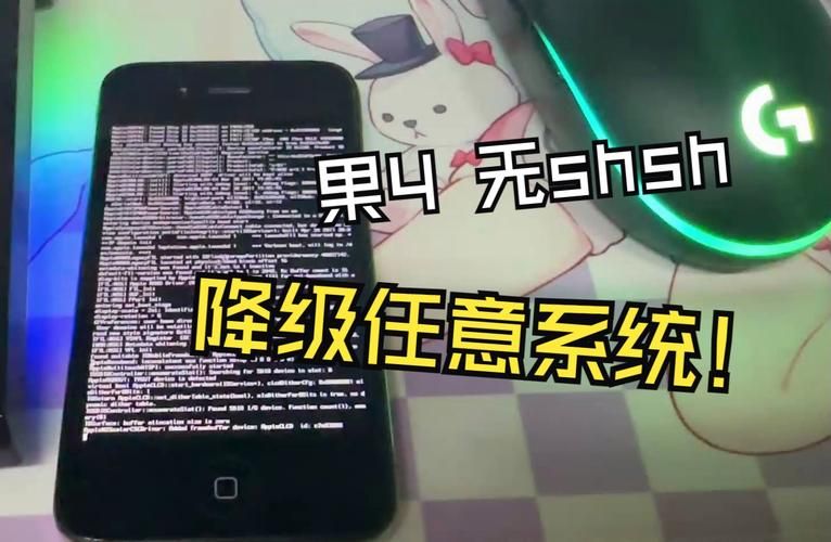 shsh备份教程分享 防止降级失败必备技能