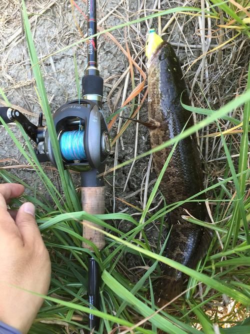 snake女弹药实战教学 团本输出手法详解