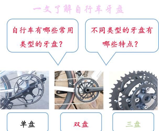 spoonwpa和其他工具对比 哪个更适合你的需求