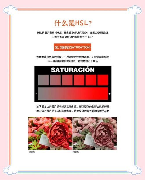 spoonwpa和其他工具对比 哪个更适合你的需求