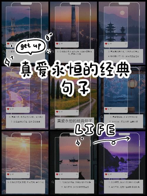 star闪耀的爱 为什么真爱总能让人闪闪发光