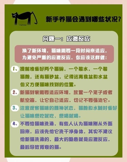 tap完全饲养常见问题解答 养不好看这里