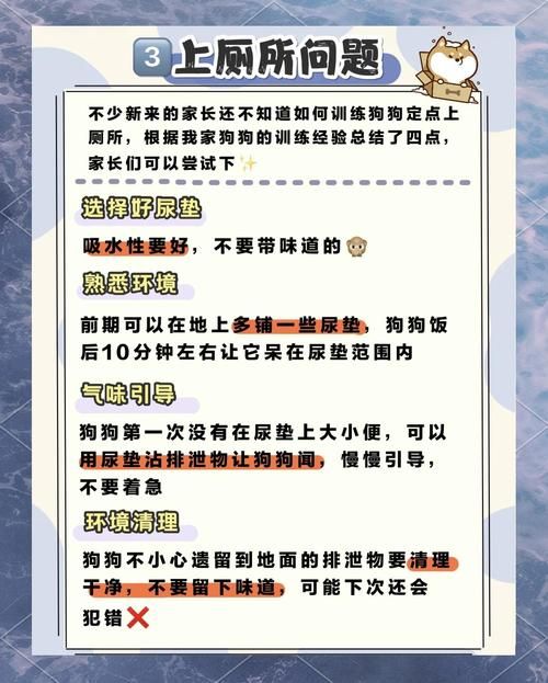 tap完全饲养常见问题解答 养不好看这里