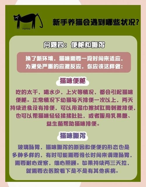 tap完全饲养常见问题解答 养不好看这里