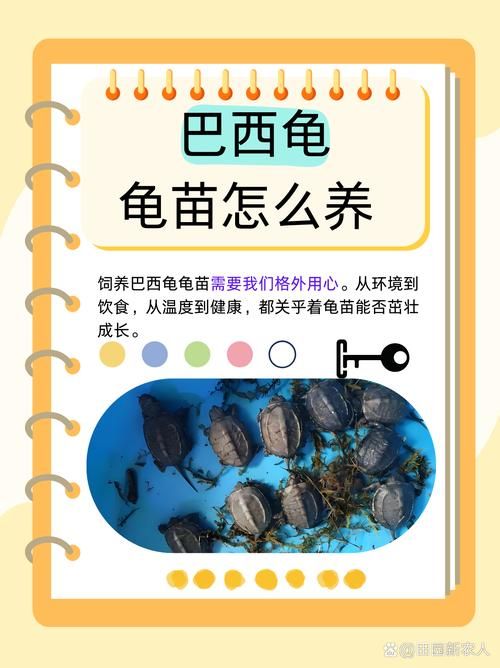 tap完全饲养常见问题解答 养不好看这里